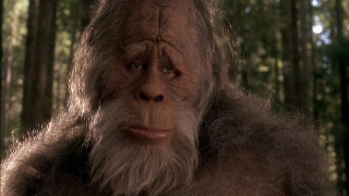 Researchers publish Bigfoot genome in brand-new journal they themselves founded
